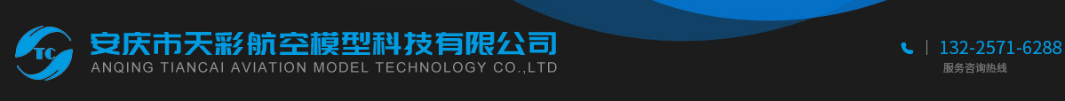安慶市天彩航空模型科技有限公司